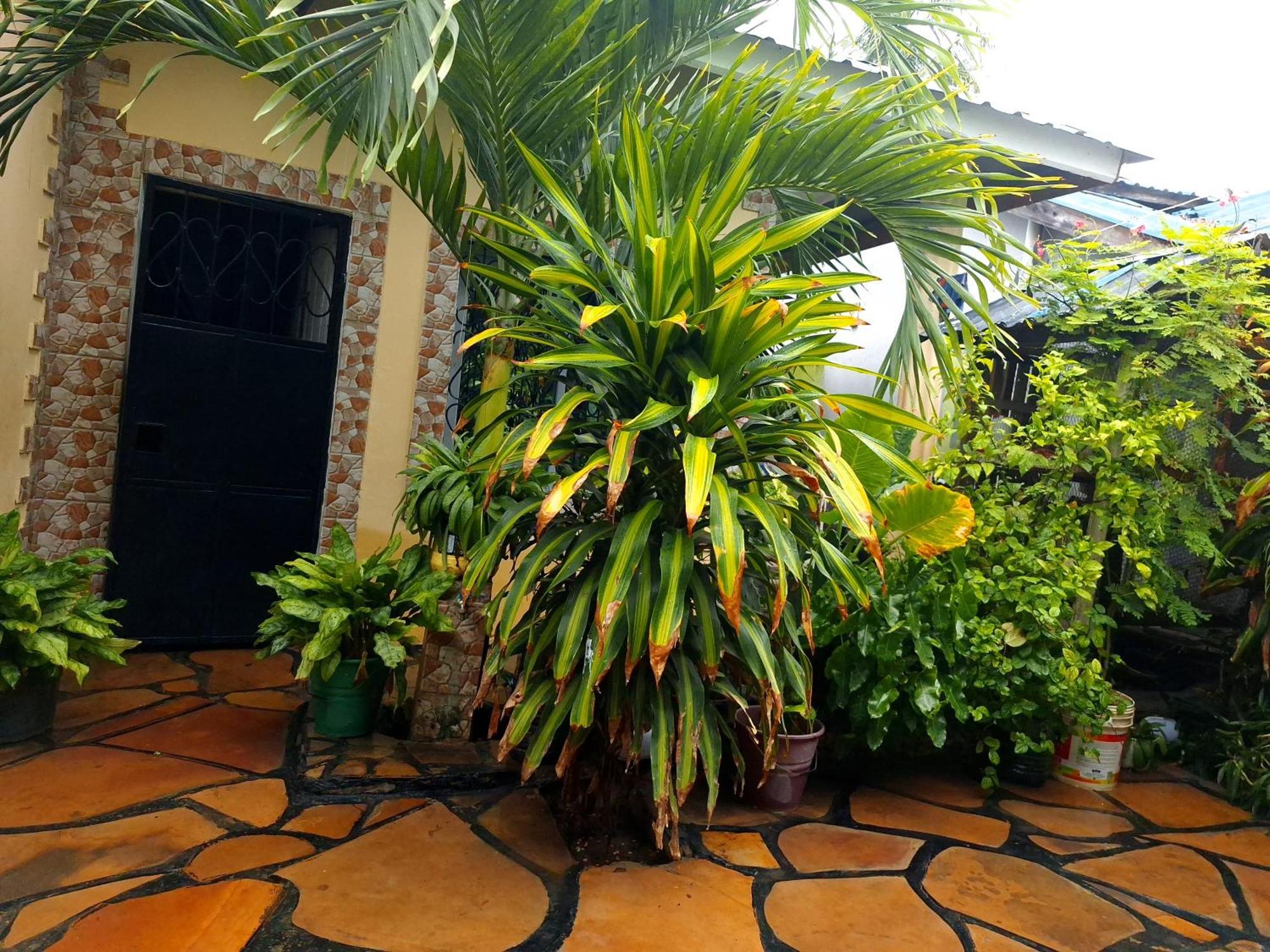 Mount Zion Guest House, Mtwapa Mtomondoni Mombaça Exterior foto